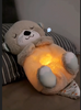 Soothing Plush Bear