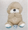 Soothing Plush Bear